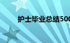 護士畢業(yè)總結(jié)500字 畢業(yè)實習總結(jié)