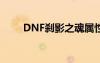 DNF剎影之魂屬性（dnf剎影之魂）