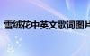 雪絨花中英文歌詞圖片 雪絨花的中英文歌詞