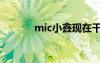 mic小鑫現(xiàn)在干啥（mic小鑫）