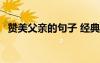 贊美父親的句子 經(jīng)典語錄 贊美父愛的句子