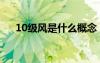 10級風(fēng)是什么概念（10級風(fēng)什么概念）