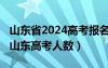山東省2024高考報名網(wǎng)站入口官網(wǎng)（2013年山東高考人數(shù)）