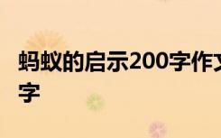 螞蟻的啟示200字作文 螞蟻的啟示的作文400字