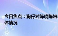 今日焦點：狗仔對陳曉陳妍?；樽儧]有很意外，帶您了解具體情況