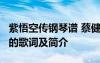 紫悟空傳鋼琴譜 蔡健雅《悟空傳》插曲《紫》的歌詞及簡(jiǎn)介