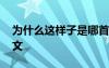 為什么這樣子是哪首歌 為什么這樣子優(yōu)秀作文