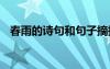 春雨的詩句和句子摘抄 春雨的詩句和句子