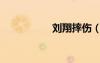 劉翔摔傷（劉翔摔跤）