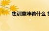 集訓(xùn)意味著什么 集訓(xùn)的解釋及造句
