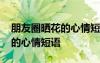 朋友圈曬花的心情短語(yǔ)早上運(yùn)動(dòng) 朋友圈曬花的心情短語(yǔ)