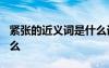 緊張的近義詞是什么詞呢? 緊張的近義詞是什么