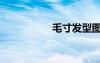 毛寸發(fā)型圖片（毛寸）