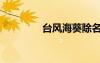 臺風(fēng)?？ㄅ_風(fēng)?？?/></a>
				</div>
				<div   id=