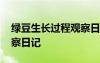綠豆生長過程觀察日記視頻 綠豆生長過程觀察日記