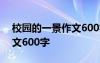 校園的一景作文600字怎么寫 校園的一景作文600字