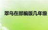 翠鳥在部編版幾年級 部編版翠鳥課文原文