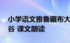小學(xué)語文雅魯藏布大峽谷課文 雅魯藏布大峽谷 課文朗讀