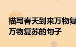 描寫春天到來萬物復(fù)蘇的詩句 描寫春天來臨萬物復(fù)蘇的句子