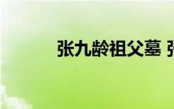 張九齡祖父墓 張九齡家族墓(2)