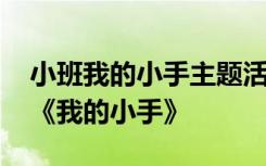 小班我的小手主題活動(dòng)方案 幼兒園小班教案《我的小手》