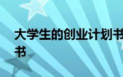 大學生的創(chuàng)業(yè)計劃書項目 大學生的創(chuàng)業(yè)計劃書