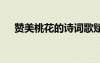 贊美桃花的詩詞歌賦 歌頌桃花的古詩詞