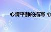 心情平靜的描寫(xiě) 心情平靜的優(yōu)美句子
