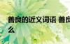 善良的近義詞語 善良的近義詞和反義詞是什么