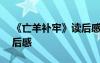 《亡羊補(bǔ)牢》讀后感250字 《亡羊補(bǔ)牢》讀后感