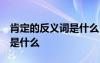 肯定的反義詞是什么 標(biāo)準(zhǔn)答案 肯定的反義詞是什么