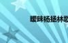 曖昧楊拯林歌詞 曖昧歌詞