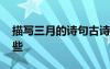 描寫三月的詩(shī)句古詩(shī)詞 描寫三月的詩(shī)句有哪些
