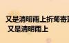 又是清明雨上折菊寄到你身旁把你最愛的歌來 又是清明雨上