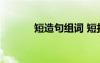 短造句組詞 短打的解釋及造句