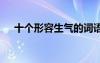 十個(gè)形容生氣的詞語(yǔ) 寫(xiě)形容生氣的詞語(yǔ)