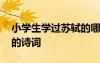 小學(xué)生學(xué)過蘇軾的哪些古詩 小學(xué)生學(xué)過蘇軾的詩詞