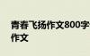 青春飛揚作文800字記敘文 青春飛揚的年代作文