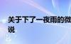 關(guān)于下了一夜雨的微信說說 雨下了一夜的說說