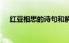 紅豆相思的詩句和解釋 紅豆相思的詩句