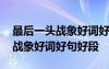 最后一頭戰(zhàn)象好詞好句摘抄及感受 最后一頭戰(zhàn)象好詞好句好段