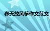 春天放風(fēng)箏作文范文 春天放風(fēng)箏命題作文