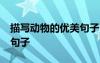 描寫動物的優(yōu)美句子10個字 描寫動物的優(yōu)美句子