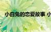 小白兔的戀愛故事 小白兔的愛情童話故事