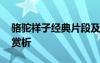 駱駝祥子經(jīng)典片段及賞析 駱駝祥子經(jīng)典好句賞析