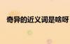 奇異的近義詞是啥呀 奇異的同義詞有什么