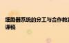 細(xì)胞器系統(tǒng)的分工與合作教案 細(xì)胞器─系統(tǒng)內(nèi)的分工合作說課稿