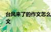 臺風(fēng)來了的作文怎么寫四年級 臺風(fēng)來了的作文