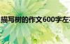 描寫樹的作文600字左右 描寫樹的作文600字