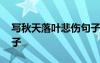 寫秋天落葉悲傷句子短句 寫秋天落葉悲傷句子